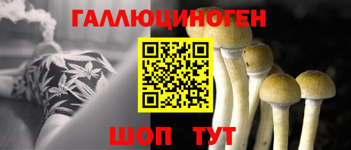 Псилоцибиновые грибы Psilocybine cubensis Бугуруслан